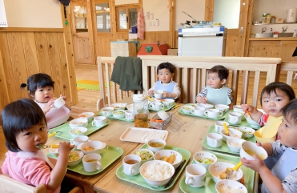 給食